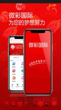 2024澳门开奖结果王中王,专业数据解释定义_iShop44.848